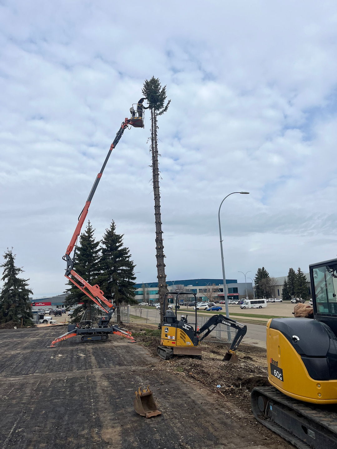 Commercial Removal 1