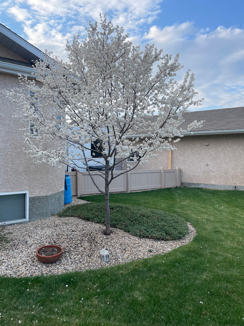 Pruning- Residential(1)