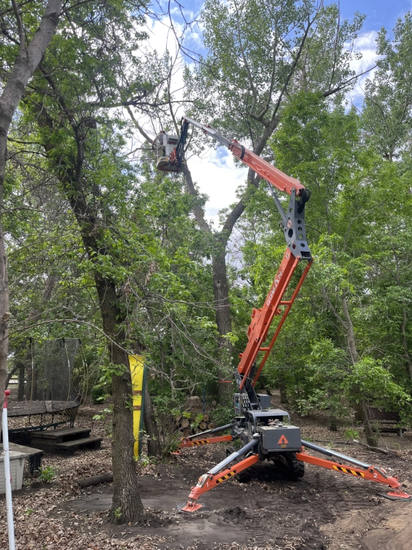 acreage-tree-pruning