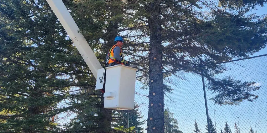 commercial-municiple-services