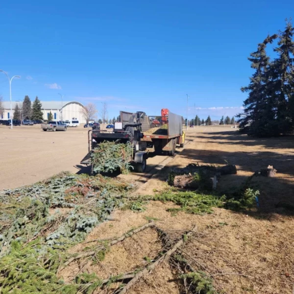 Truck parked on commercial property so trees can be removed.