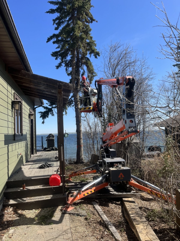 residential-lake-house-tree-removal
