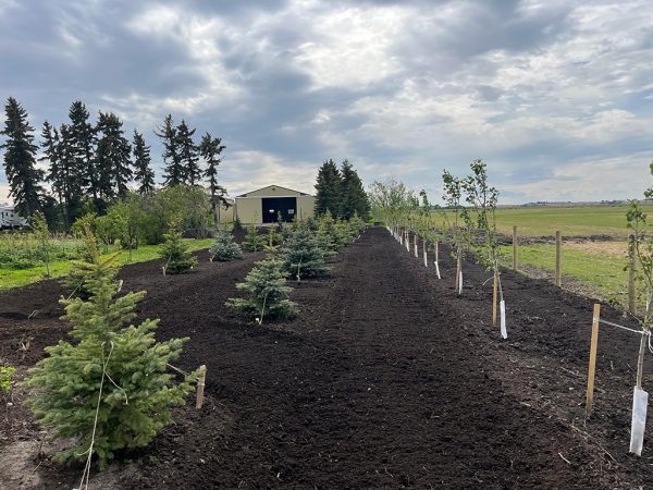 Acreages & Farms​ - Planting