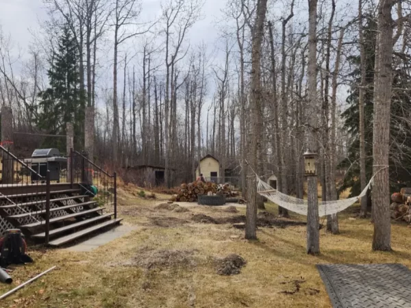 Trees cut down on tree lined farmhouse land, stacked and tidy