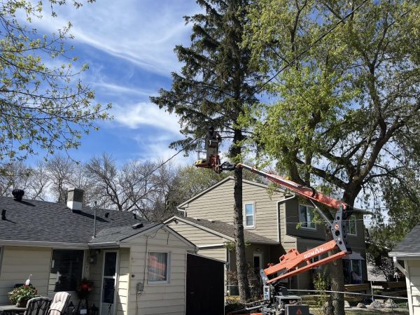 removal photo - resi and lake lots